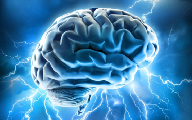 phosphatidylserine impacts brain health