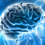 phosphatidylserine impacts brain health